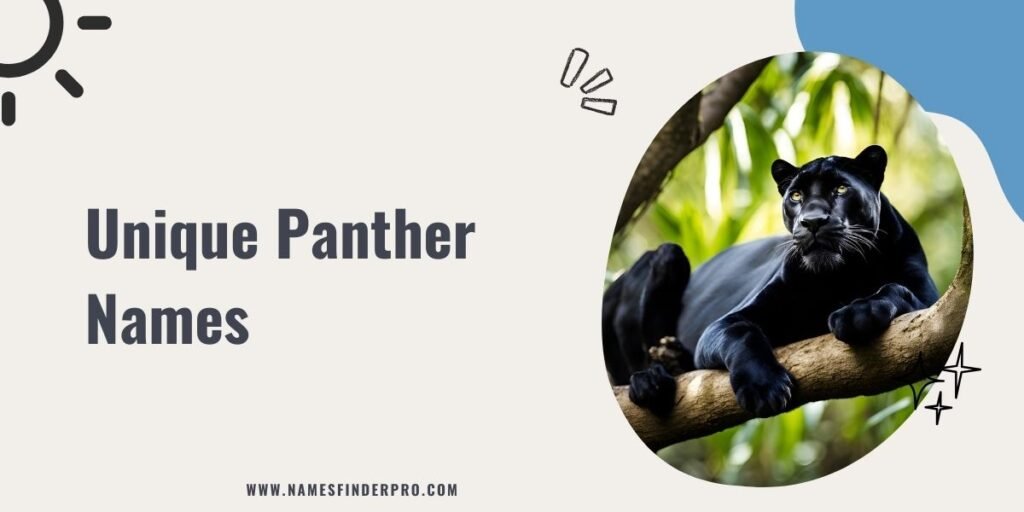 Unique Panther Names