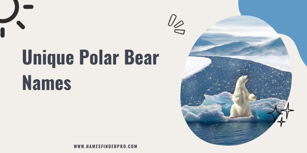 Unique Polar Bear Names