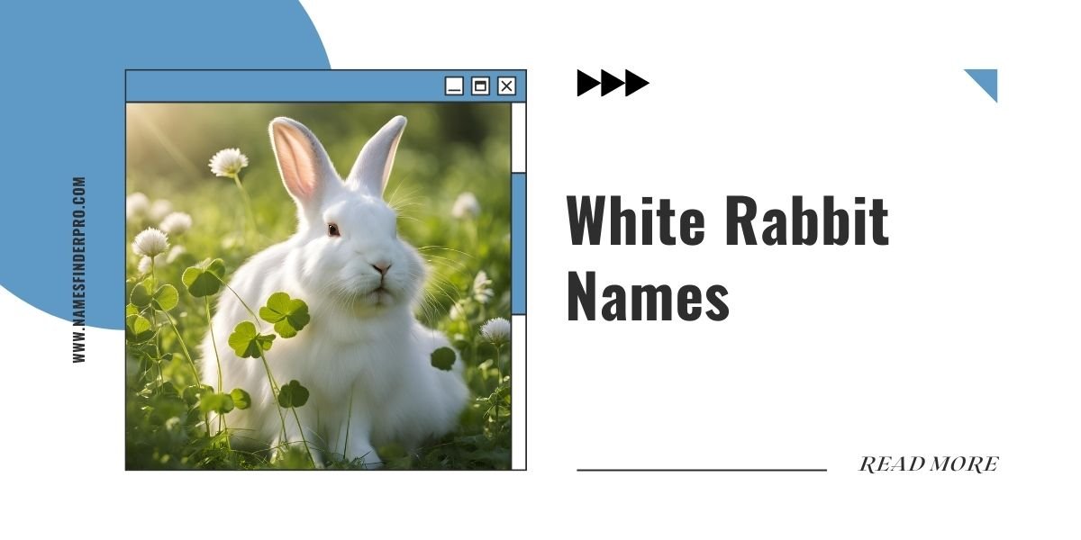 White Rabbit Names