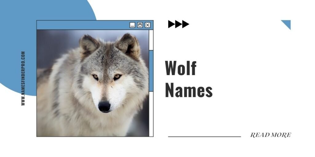 Wolf Names