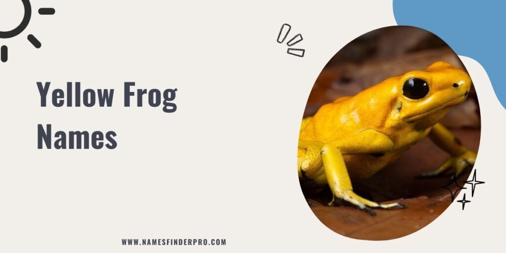 Yellow Frog Names