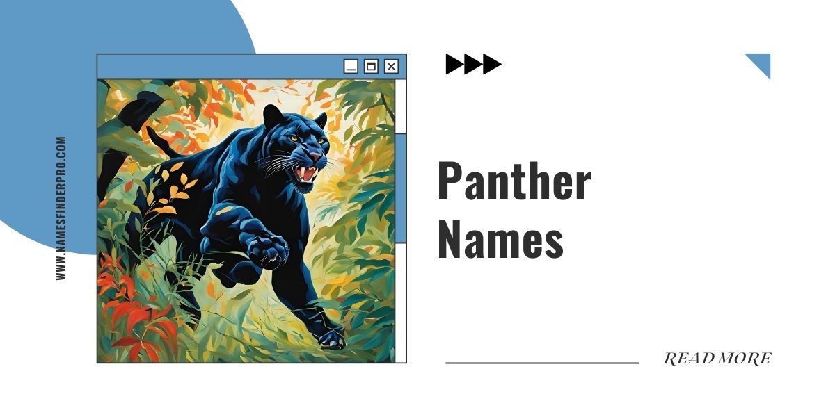 Panther Names