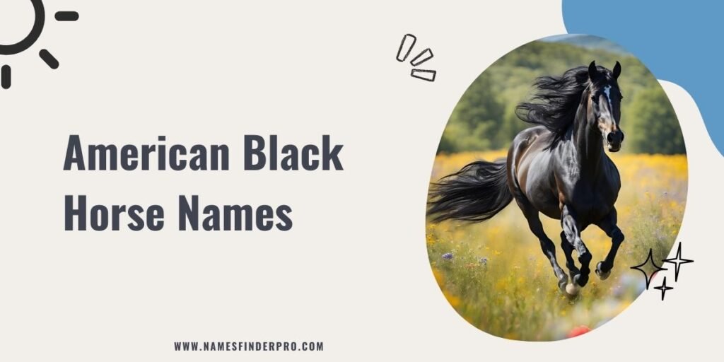 American Black Horse Names