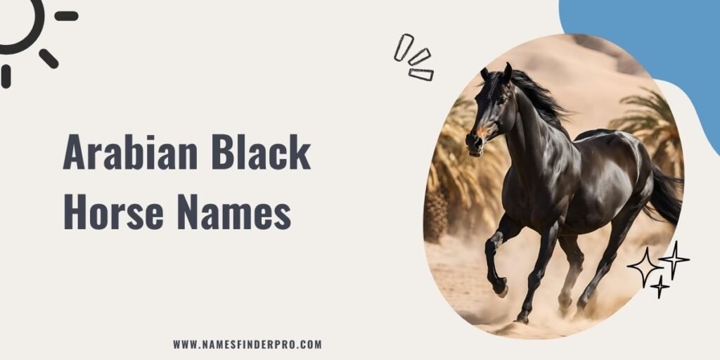 Arabian Black Horse Names