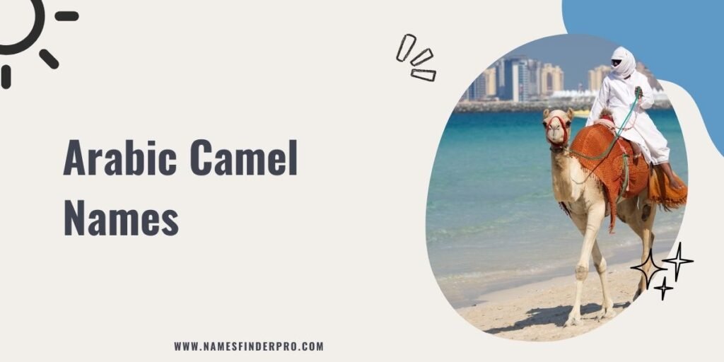 Arabic Camel Names