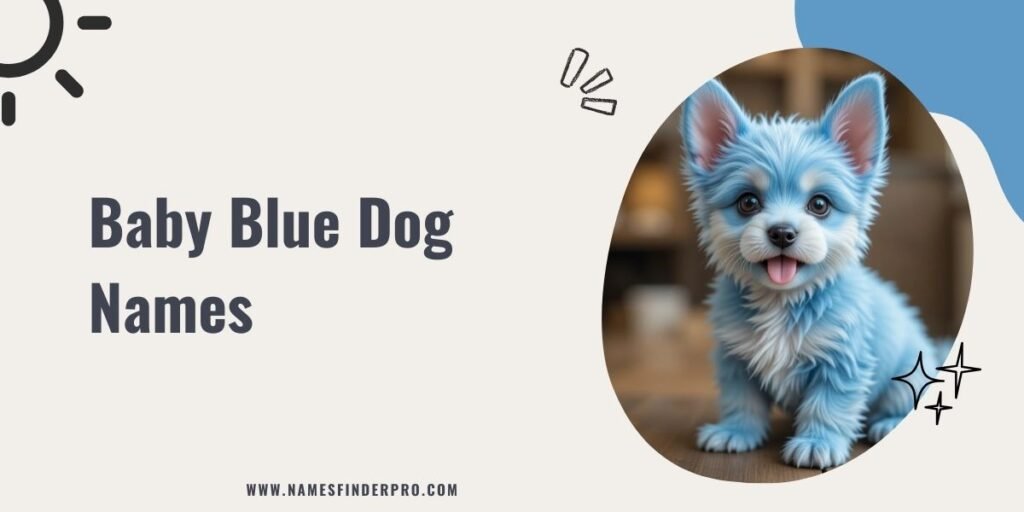 Baby Blue Dog Names