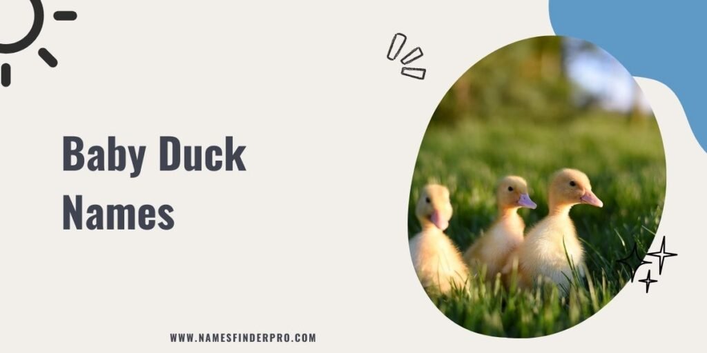 Baby Duck Names