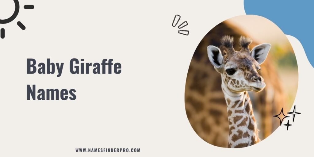 Baby Giraffe Names