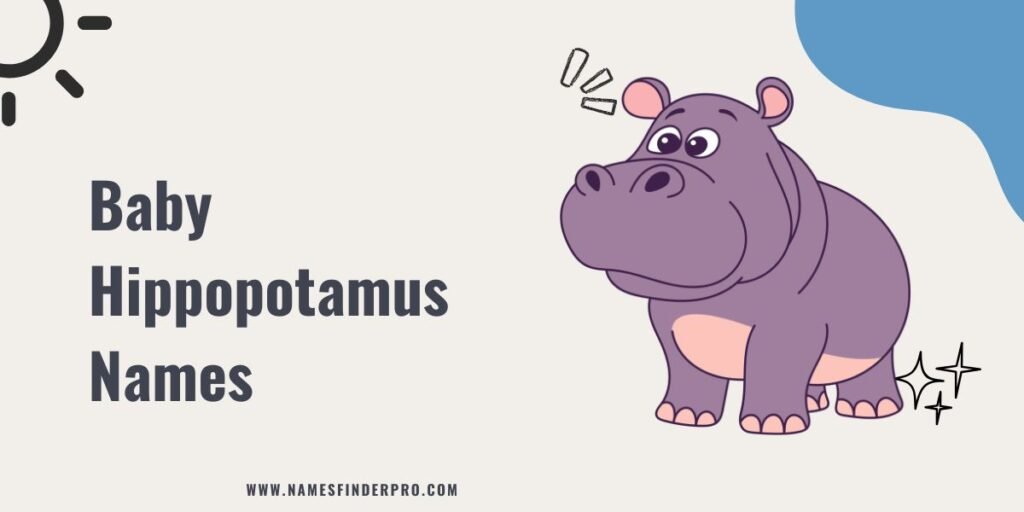 Baby Hippopotamus Names 