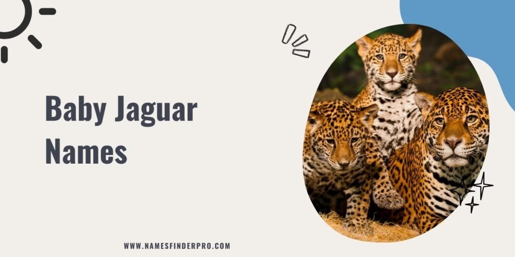 Baby Jaguar Names