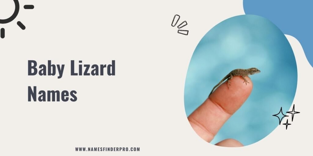 Baby Lizard Names