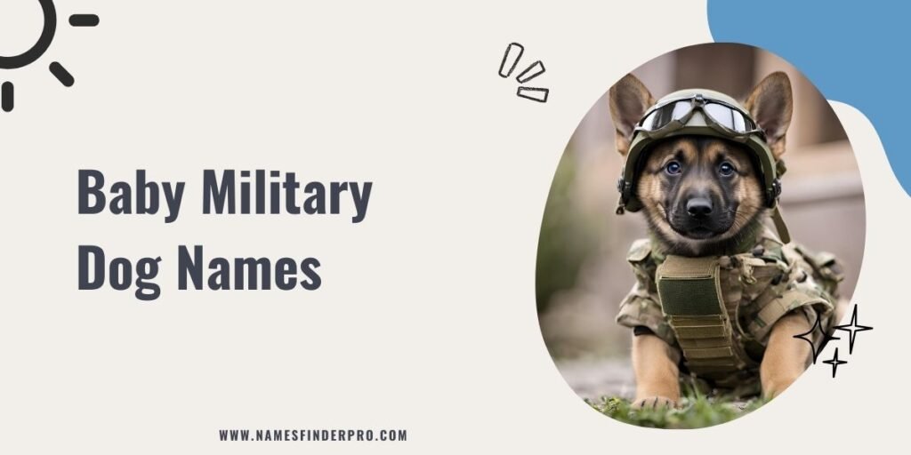 Baby Military Dog Names