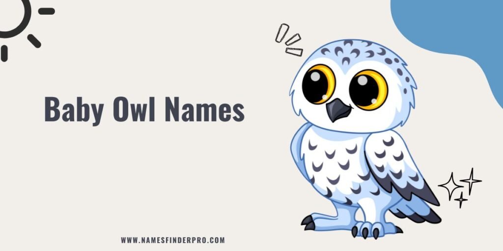 Baby Owl Names