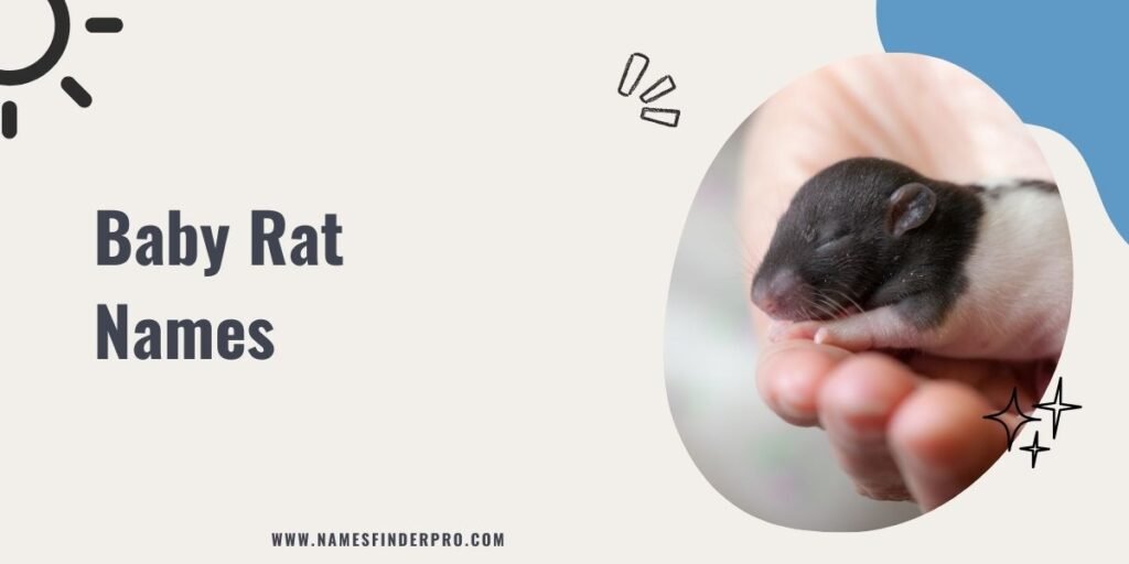 Baby Rat Names