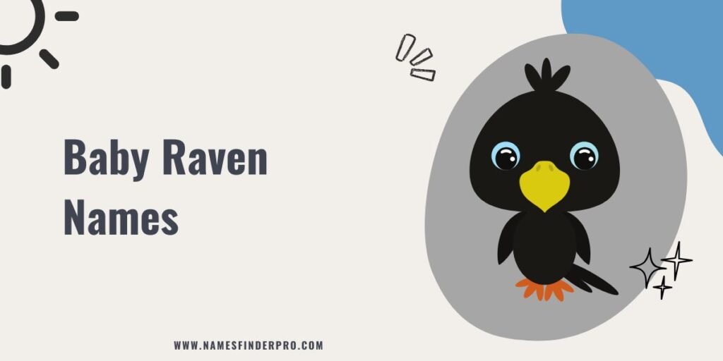 Baby Raven Names