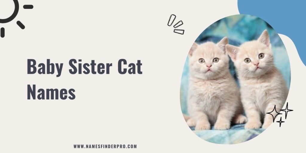 Baby Sister Cat Names