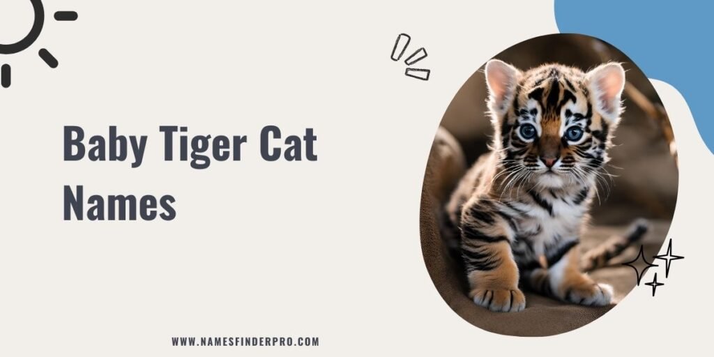 Baby Tiger Cat Names