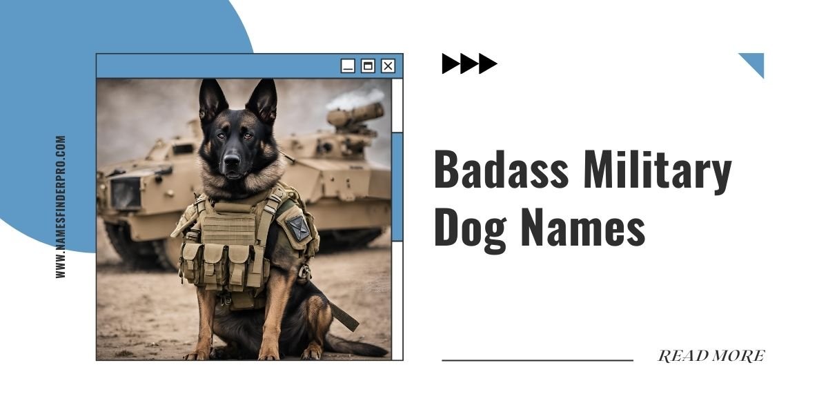 Badass Military Dog Names