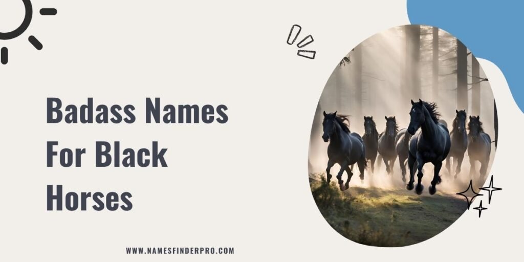 Badass Names for Black Horses