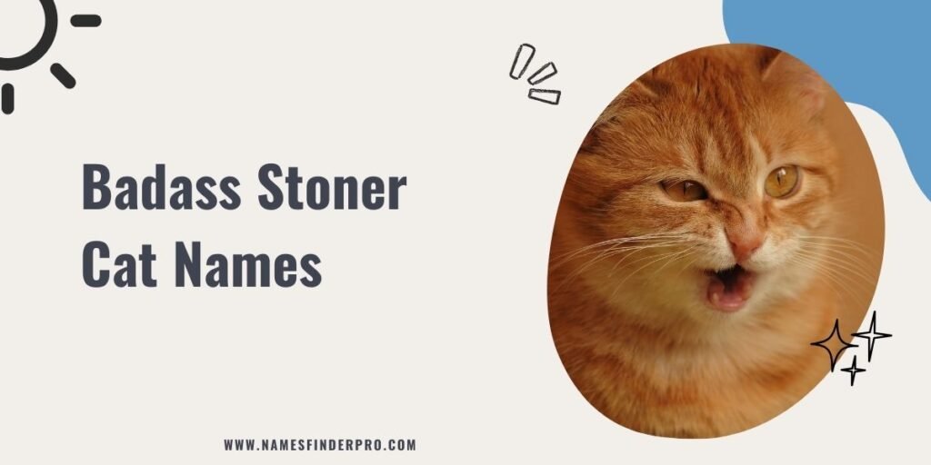 Badass Stoner Cat Names