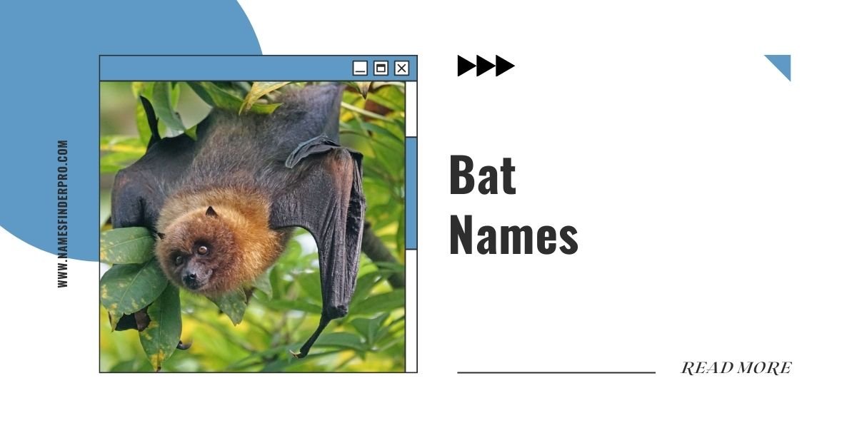 Bat Names