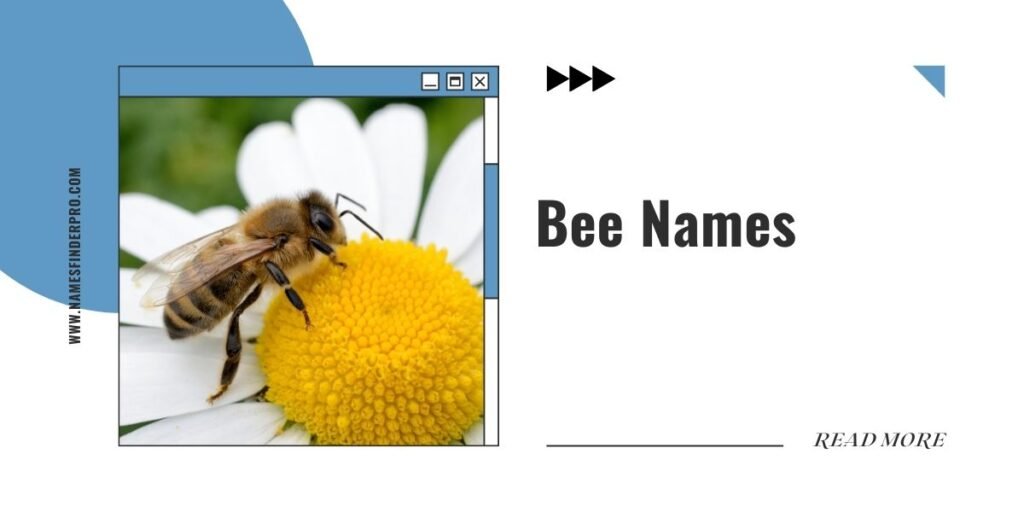 Bee Names