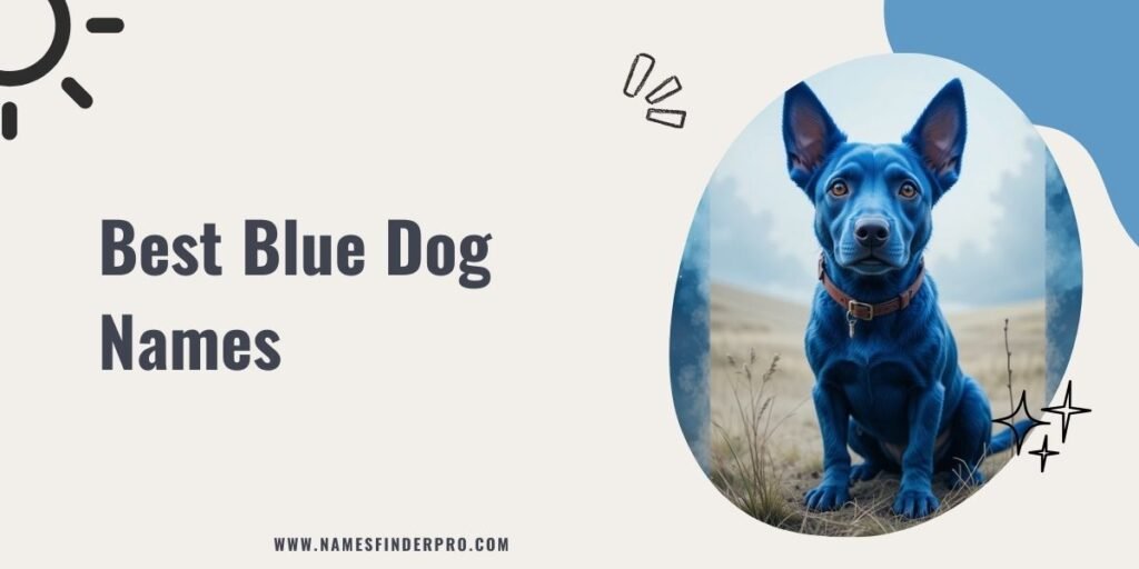 Best Blue Dog Names