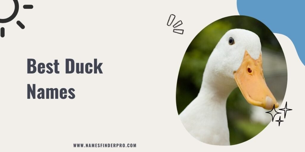 Best Duck Names