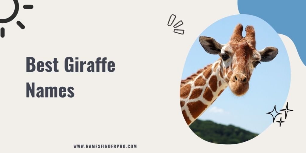 Best Giraffe Names