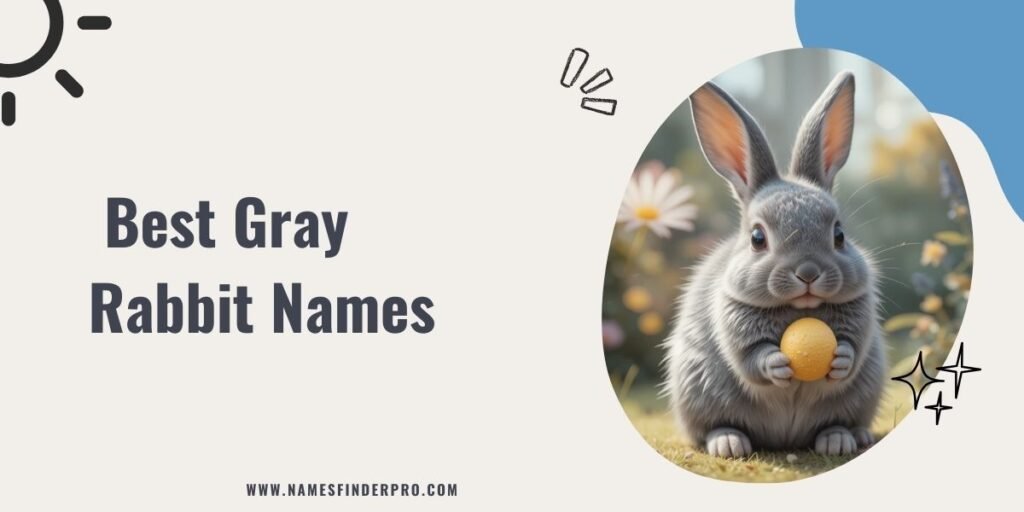 Best Gray Rabbit Names