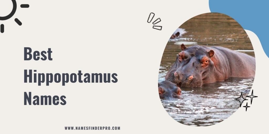 Best Hippopotamus Names