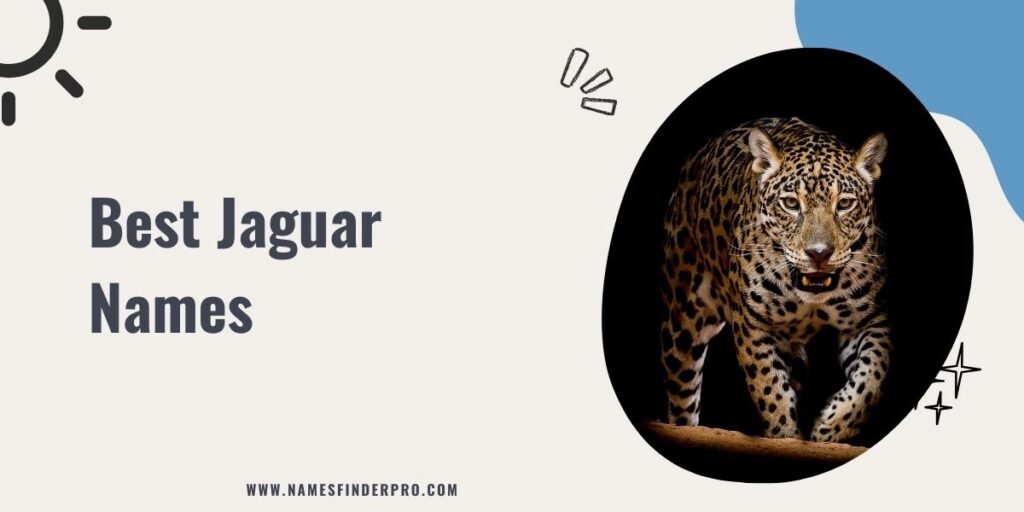 Best Jaguar Names