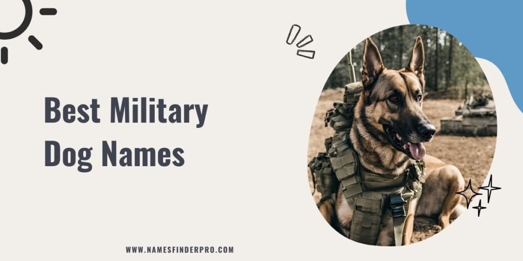 Best Military Dog Names