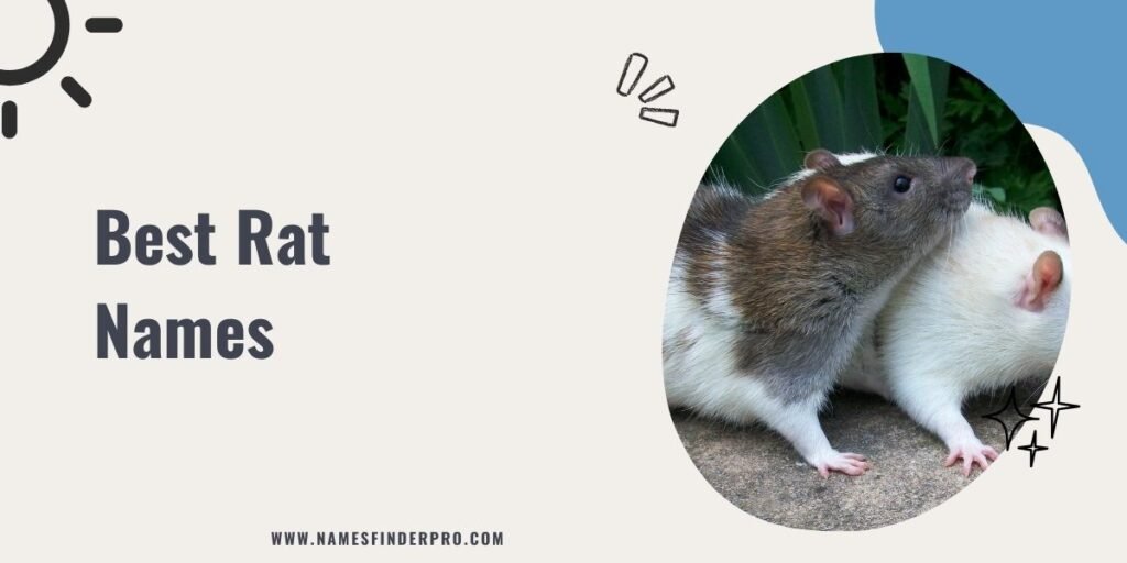 Best Rat Names