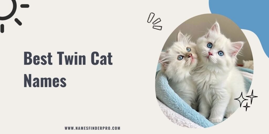 Best Twin Cat Names