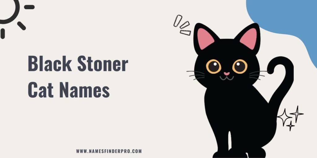 Black Stoner Cat Names