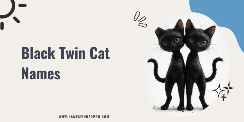 Black Twin Cat Names