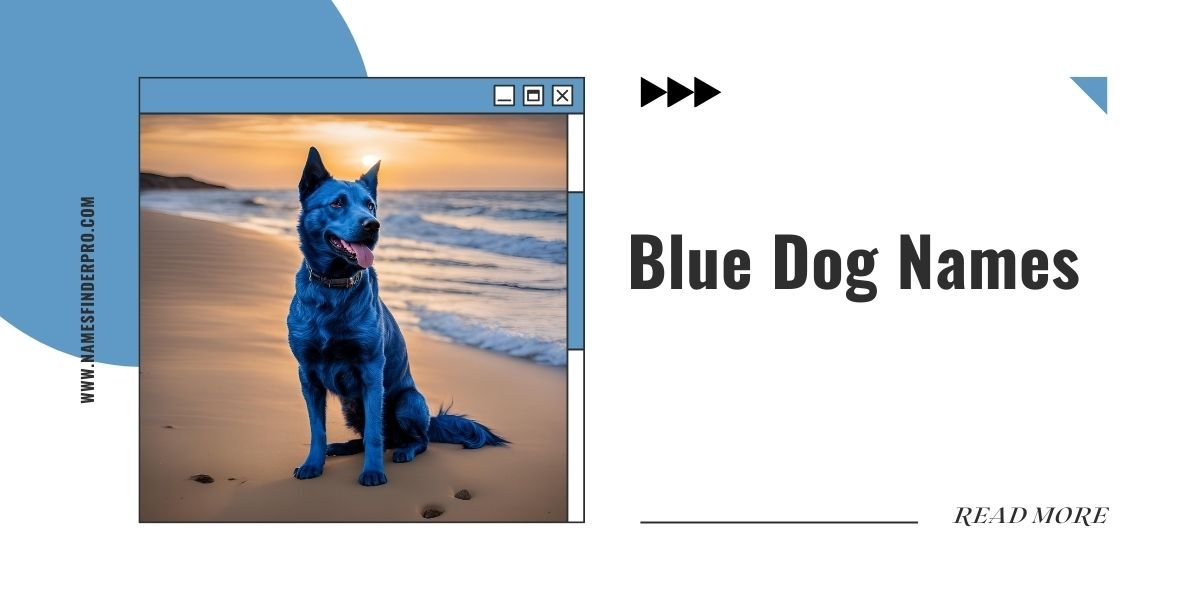 Blue Dog Names