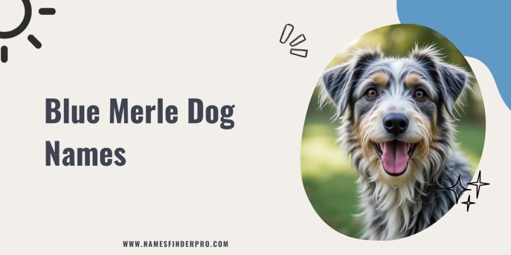 Blue Merle Dog Names