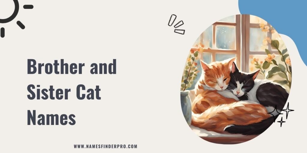 Brother and Sister Cat Names