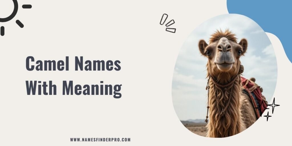 Camel Names With Meaning