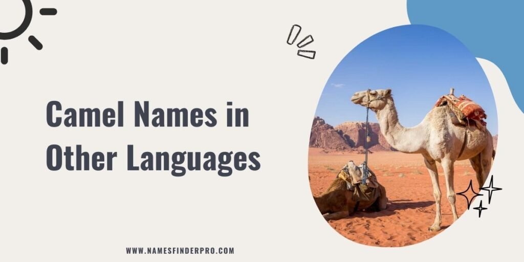 Camel Names in Other Languages