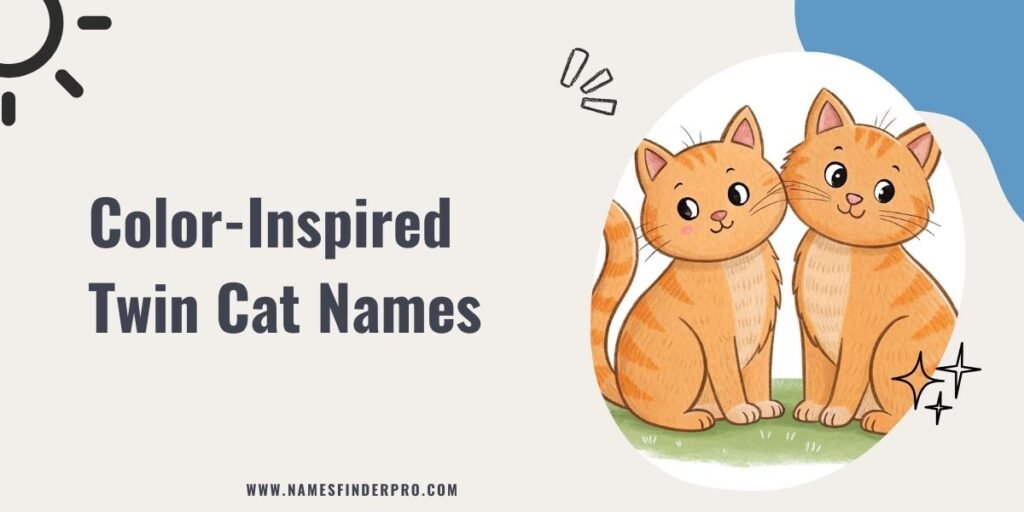 Color-Inspired Twin Cat Names