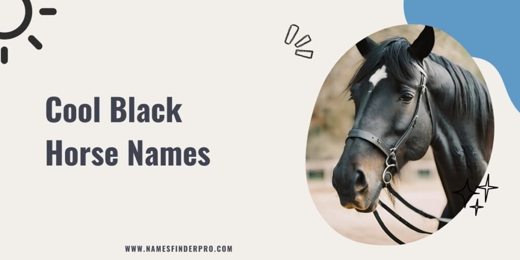 Cool Black Horse Names