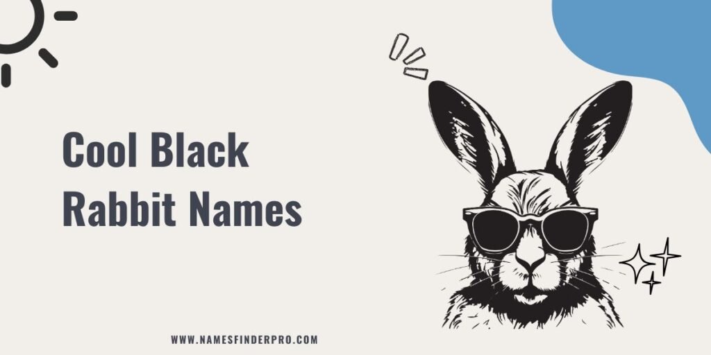 Cool Black Rabbit Names