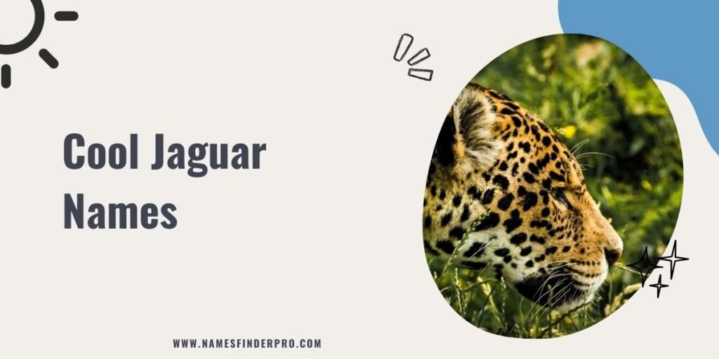 Cool Jaguar Names