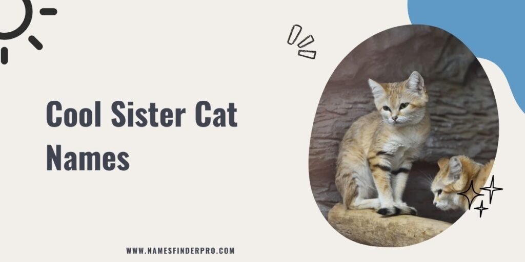 Cool Sister Cat Names