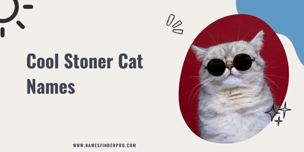 Cool Stoner Cat Names