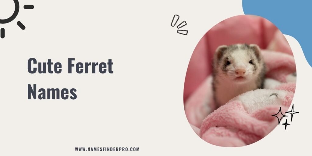 Cute Ferret Names