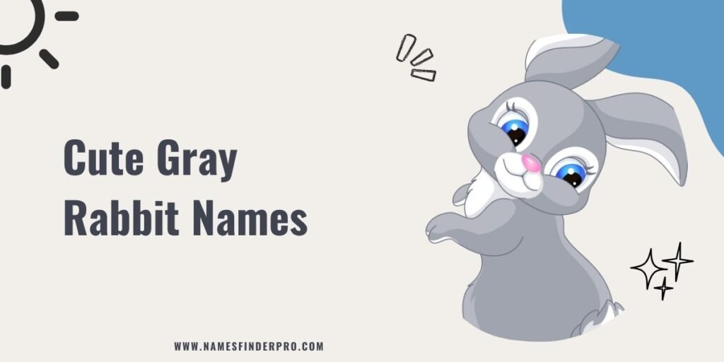 Cute Gray Rabbit Names